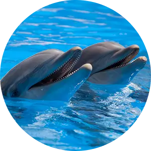有名水族館